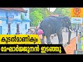 Latest Elephant attack in kerala road 2020 | മേഘാർജ്ജുനൻ ഇടഞ്ഞു #elephantattack2020 #elephantattack