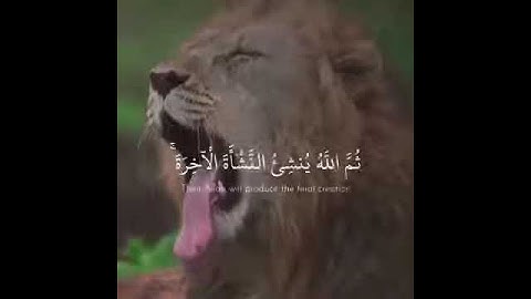 رعد الكردي ما تيسر من سورة العنكبوت حالات واتس اب دينية تلاوة خاشعة