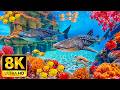 Hidden Wonders of the Ocean in 8K HDR | Dolby Vision™