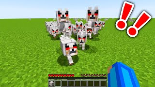 【マイクラ】危険すぎるオオカミがやばすぎたwww