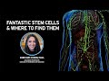 Fantastic stem cells and where to find them with shiri gurcohen