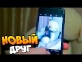 VLOG: У НАС НОВЫЙ ПИТОМЕЦ И 72 МЕСЯЦА ВМЕСТЕ ОТМЕЧАЕМ ПРАЗДНИК