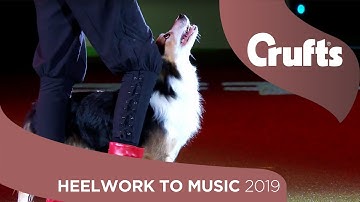 Skiffle The Dog Performs Winning Heelwork To Music Routine | Crufts 2019