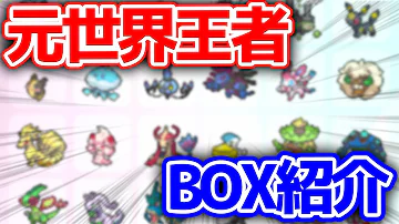 ポケモン 育成数