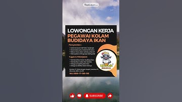 LOWONGAN KERJA TERBARU DI Uma Lele Singaraja #loker #lowonganekerjaan #lowongan #job