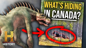 Mysteries of Canada *Shocking Theories Revealed!* | The Proof Is Out There | History