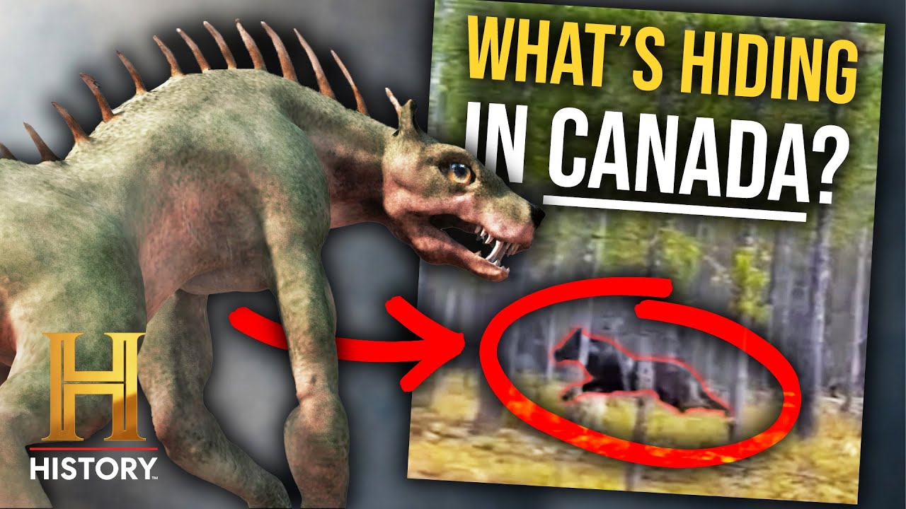 Documentary backdrop image for Mysteries of Canada Shocking Theories Revealed! (2025)