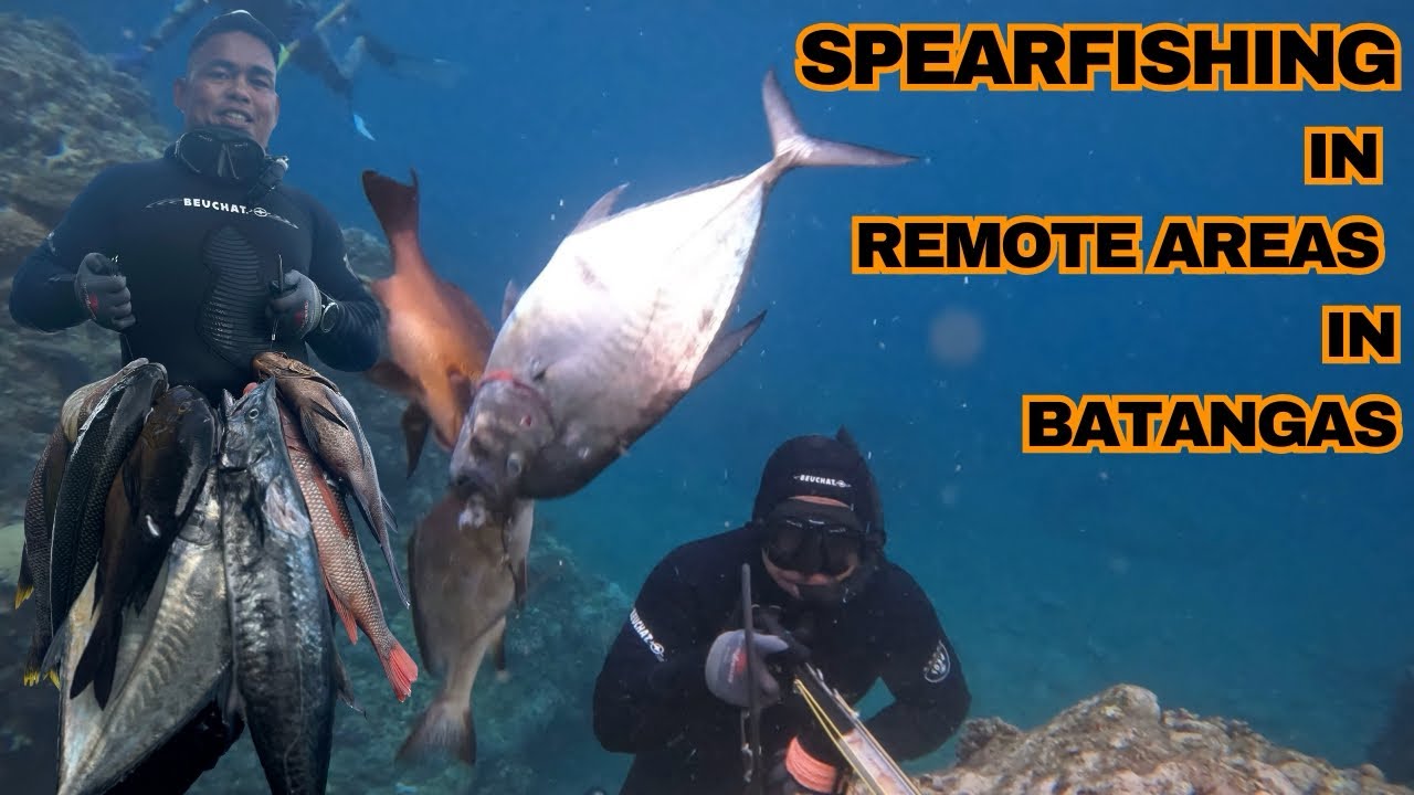PALDO TAYO SA ISDA: spearfishing buffalo emperor | midnight snapper| king mackerel| green jobfish