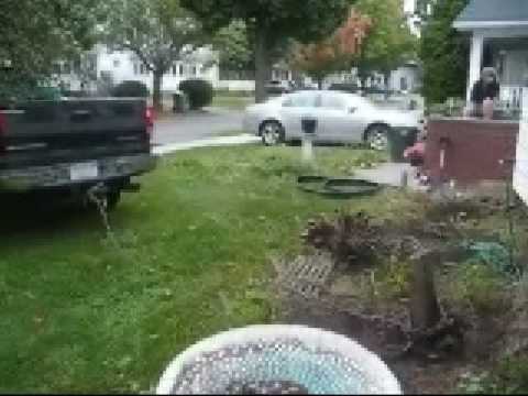 Pulling out Trees with my truck - YouTube