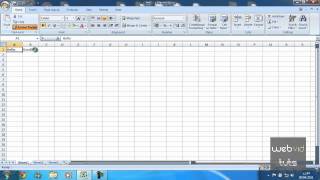 Microsoft Excel - Format Painter