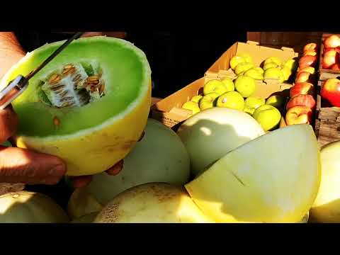 Honeydew Melons