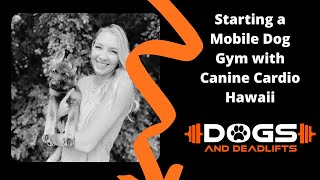 Starting a Mobile Dog Gym with Canine Cardio Hawaii