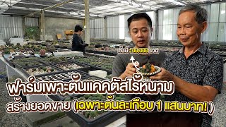 เริ่มต้นเลี้ยงแคคตัส