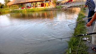 WP 20130902 003