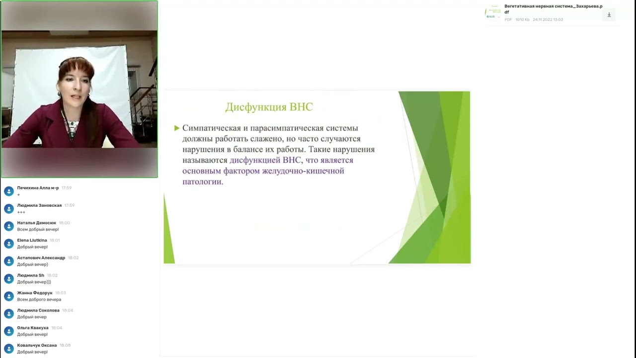 Вегетативная нервная система, взаимосвязь заболеваний ВНС и работы ЖКТ