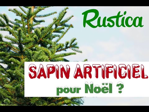 Artificiel ou naturel quel sapin de Noël choisir pour les fêtes ?