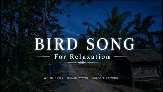 Indonesian Village Morning | Tropical Birds at Dawn |Indonesian rural atmosphere