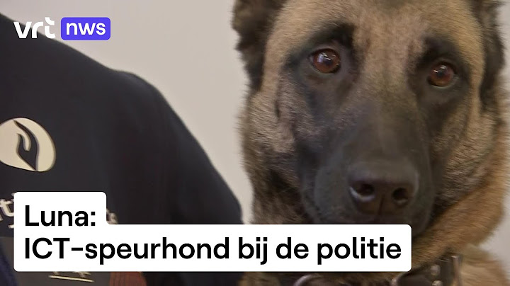 Ze zoekt niet naar drugs, maar naar elektronica zoals smartphones en SD-kaarten.