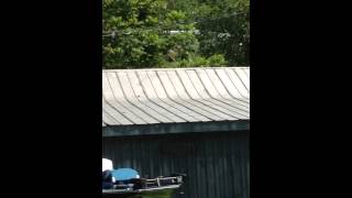Bear apprentice 2 shooting