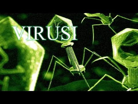 Video: Što je pleomorfni virus?