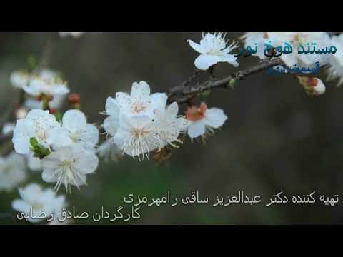 مستند هوخ نور رامهرمز در دوران ایلامی پیش از هخامنشی ۲