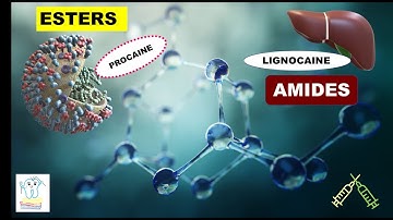 Esters & Amides -Local anesthetics