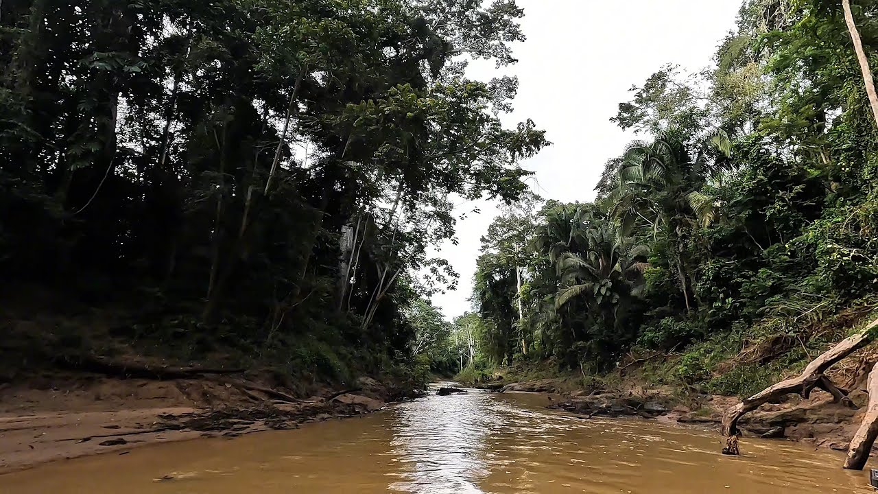 PODERIA TER SIDO A PESCARIA PERFEITA, MAS A NATUREZA NOS SURPREENDEU DE REPENTE.