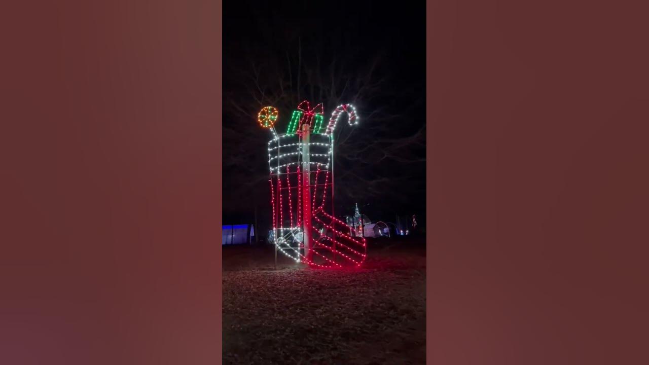 The Christmas House+Hollywild animal park SC YouTube