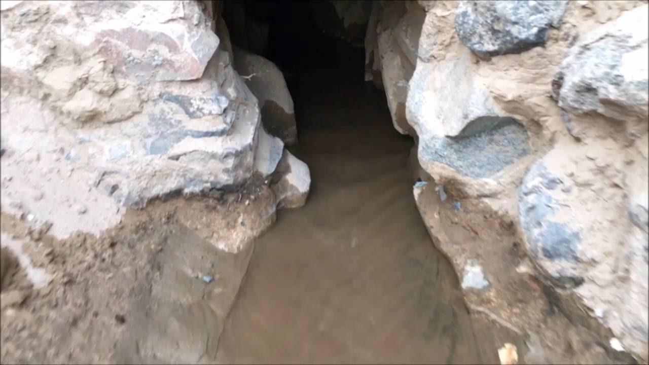 وصول الماء إلى الكبر في عين علي الحربية - ينبع النخل