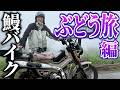 【鰻バイク】東京から最高のぶどうを食べに行くバイク旅!【銀シャリ】