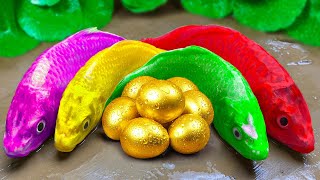 DIY Colorful Eggs Turtle Pool - Rainbow Catfish Trap Big Crocodile | ASMR Octopus MUKBANG