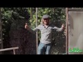 Green House Construction Tips by Jorge Cervantes - Another Green House with Plenty of Sun Light