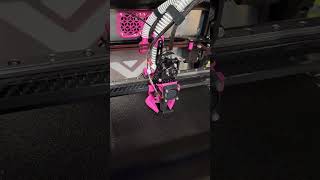 Meet Panther. First print of my Vzbot 235 AWD.