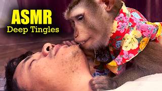 ASMR Deep Tingles | Real Monkey Grooming For People Who NEED Sleep (No Talking) screenshot 3