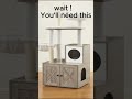 Your cat is destroying anything? This fixed it! #tommynkai #cat #cattree #petlover #Shorts