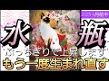 【4月前半🌸】水瓶座さんの運勢🌈今辛いかた見てください‼ぶっちぎりで上昇します✨もう一度生まれ直す🎉🎉