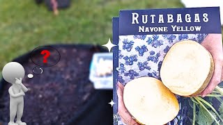 HOW TO PLANT BRASSICA SEEDS | FALL SEED SOWING TIPS | 1 ACRE FOOD FOREST