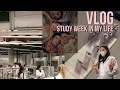 VLOG | study week in my life |  обучение в Чехии