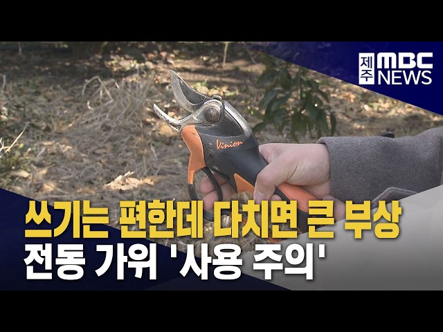 편하지만 다치면 큰 부상‥전동가위 '주의'