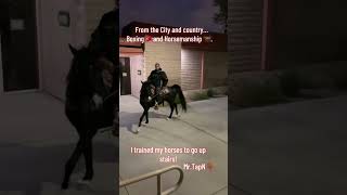 Everybody got #boxing stories… not everybody got #horse stories 🐎🥊 TapN👇🏾