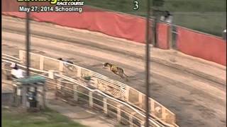 05/27/14 Schooling Race #3