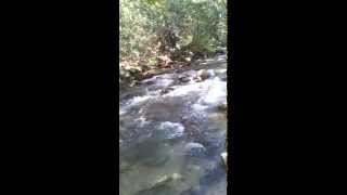 Senir stream, Israel