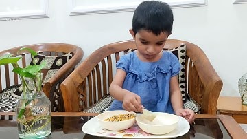 Fine Motor Skill Activity For Pre Schoolers l Transfer Pulses with Spoon l