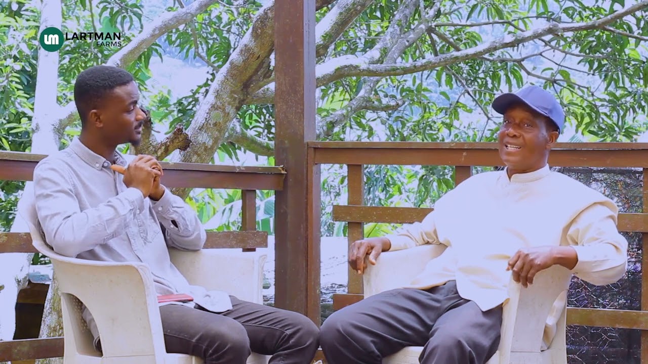 Farming 50,000 Catfish and Tilapia in a Pond (Unbelievable Story)