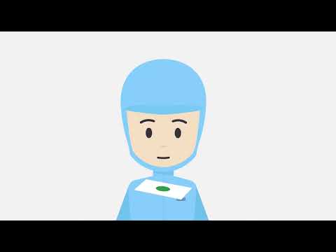 動画