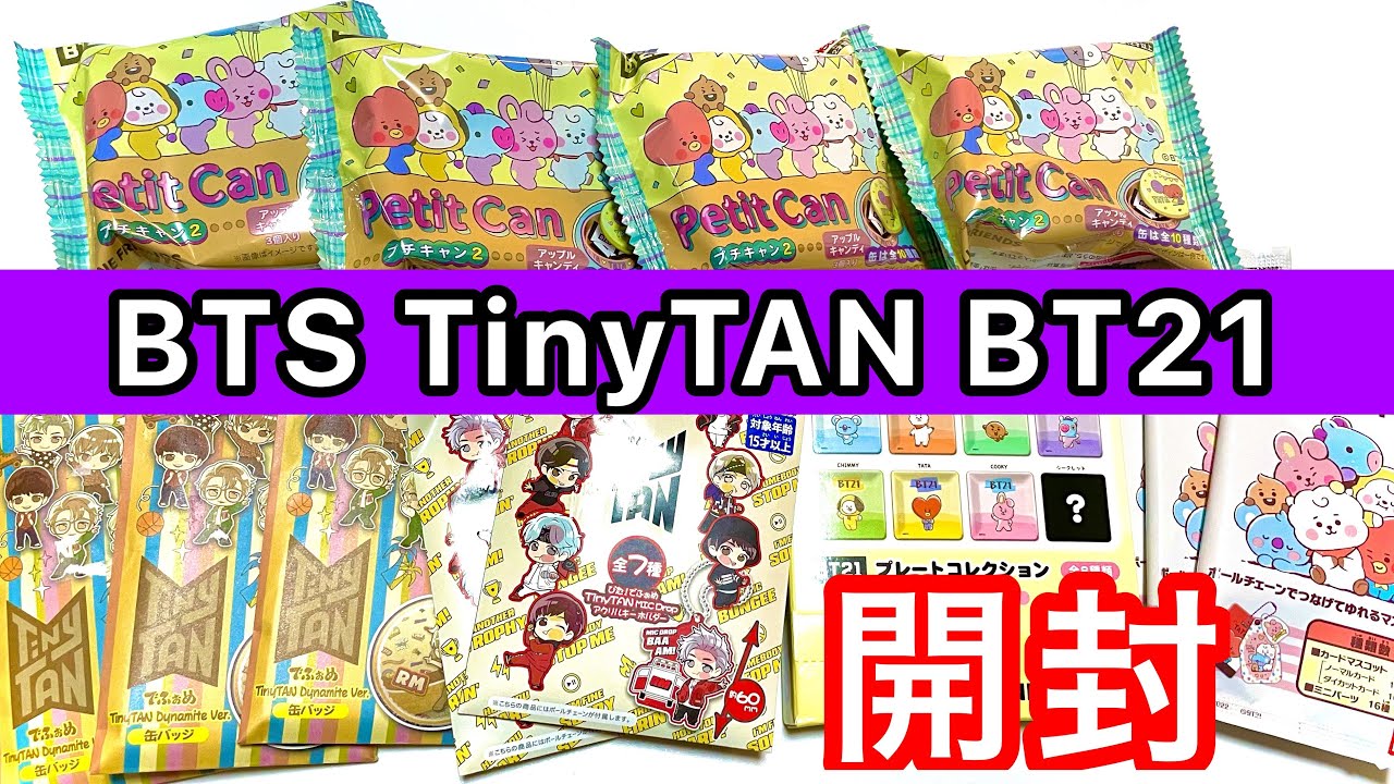 113.【BTS】TinyTAN・BT21 購入品紹介&開封／新商品・買い足し