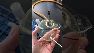 Lab 6 Kirby Bauer Assay