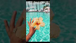 What’s on your summer playlist?🌻🍉🌸#foryou #summer #playlist #music #blowup #fypシ #popular