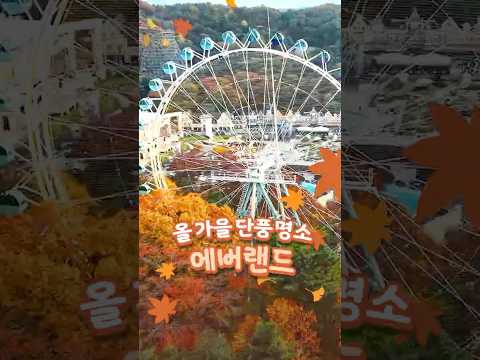 이번 가을 꼭 가야하는 단풍 <strong>명소</strong>🍁｜#shorts #단풍놀이 #에버랜드