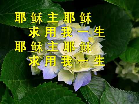 献上活祭